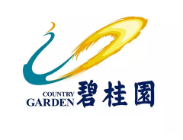 新吴碧桂园地产